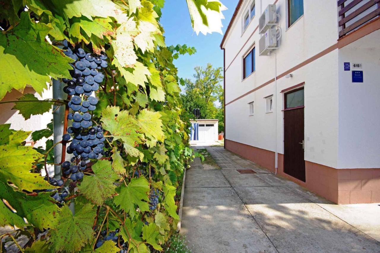 נין Apartments In Sabunike/Zadar Riviera 7812 מראה חיצוני תמונה